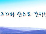 파아란 하늘 그리워 산으로 갔건만--------------