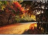 만추의 무등산 (11.1)