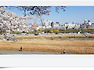 ^^오창전원주택매매.오창미래지전원마을 호수가보이는 기반시설이 완비된 80세대의대단지