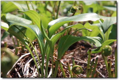 [울릉도-16부] 울릉도를 다녀오면서 (에필로그)