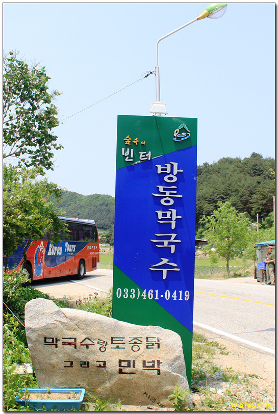 숲속의빈터 이미지