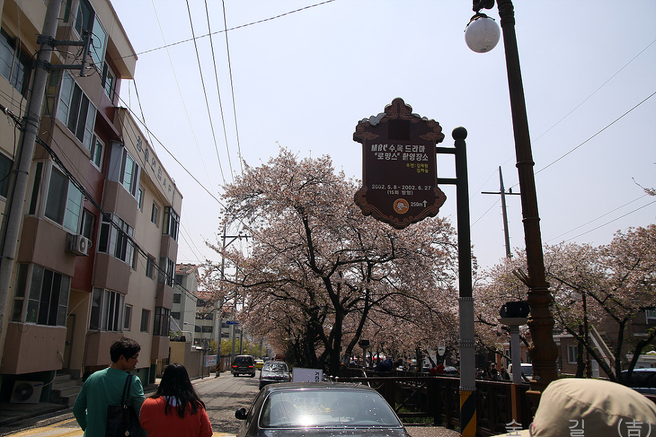 하나화원 이미지