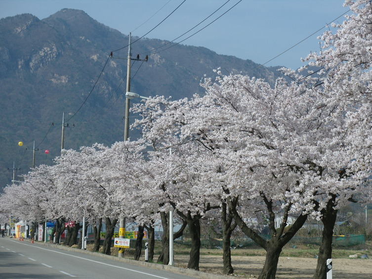 시골민박 이미지