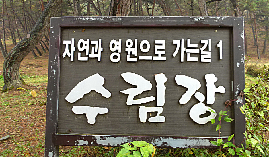 수림장 이미지