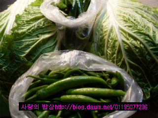 배추샐러드