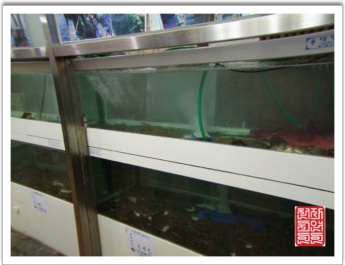 선주식당 이미지