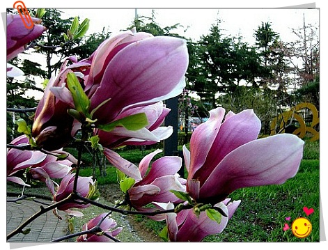 12499E4A512727B2263A11