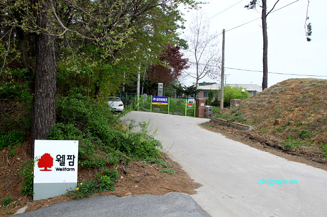 두콩식품 이미지