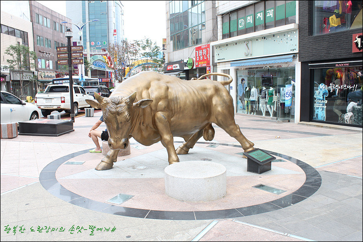 [속초맛집]4년만에 다시찾은~ 88생선구이