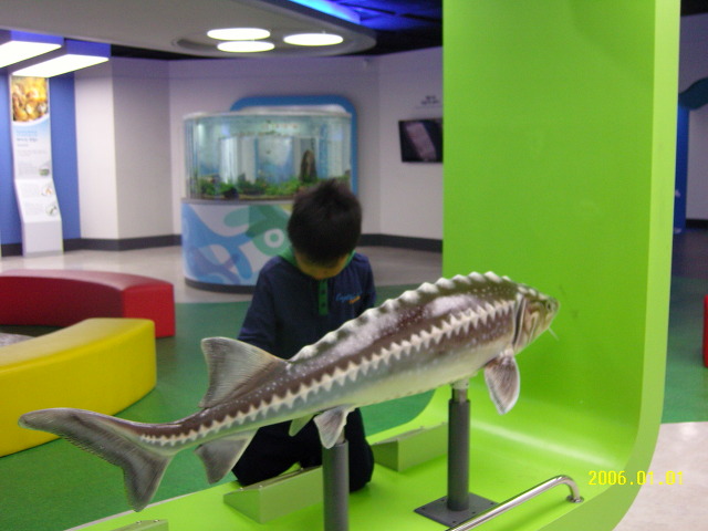 13465F034BE77E6DEC056A