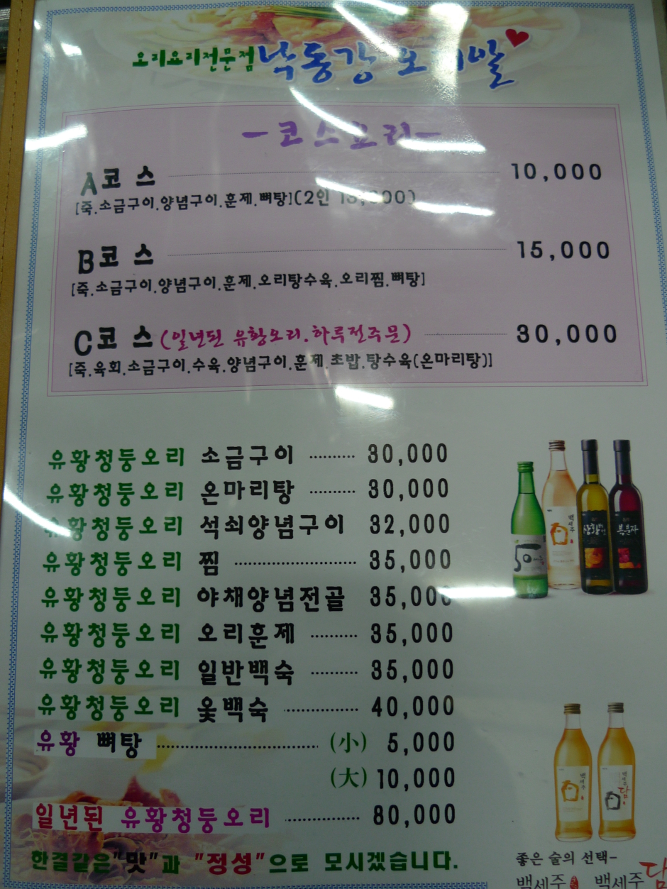 낙동강오리 이미지