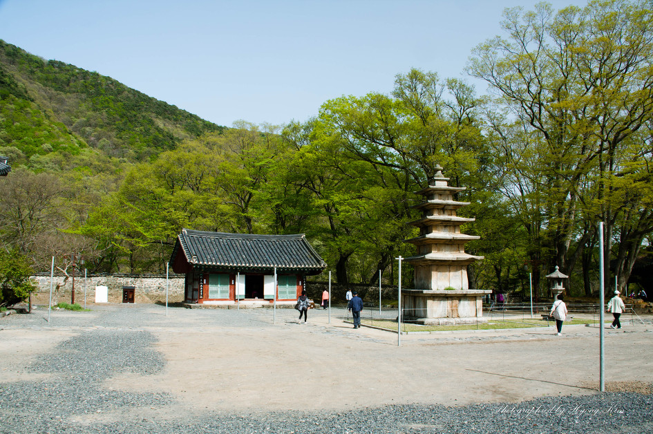 만수산 이미지