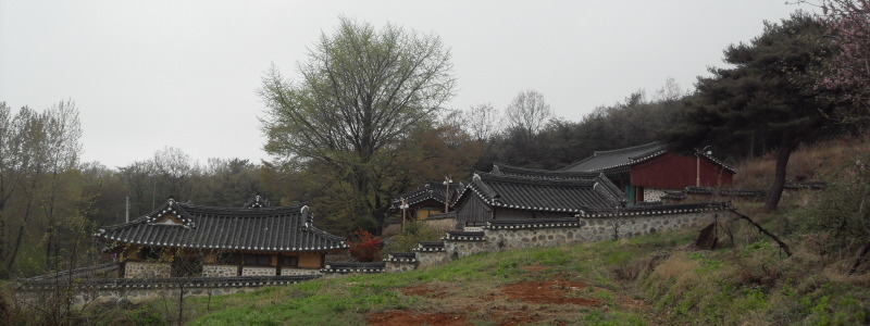 교동숲 이미지