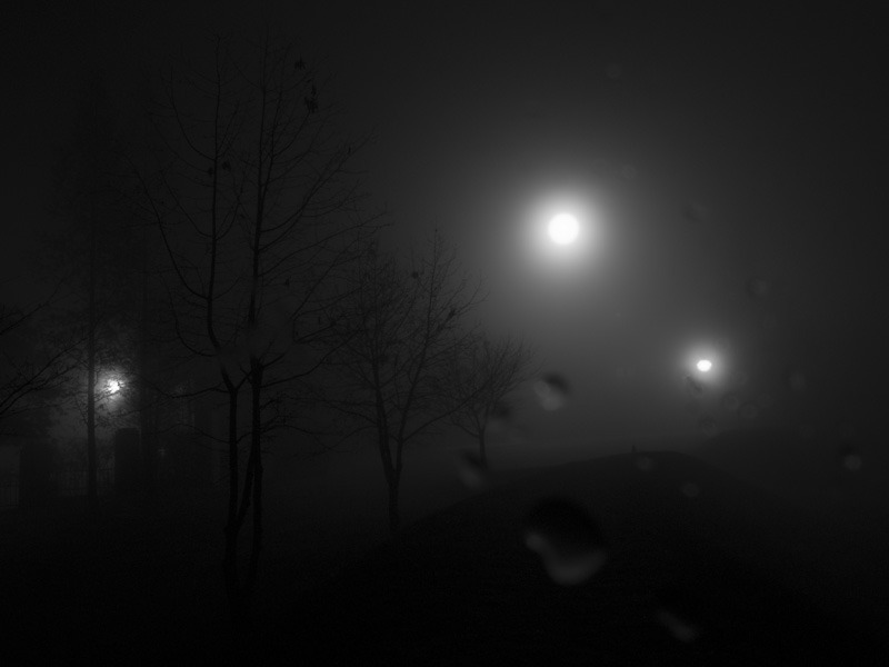  9_B269017 