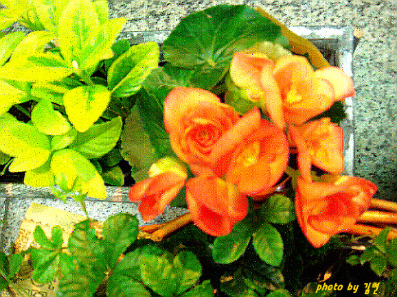 143BB61F4BB355330B51F6