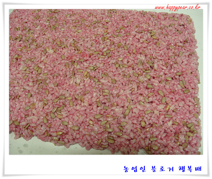 천년초가  어떤 것인가 호기심에 ~~  *^^*
