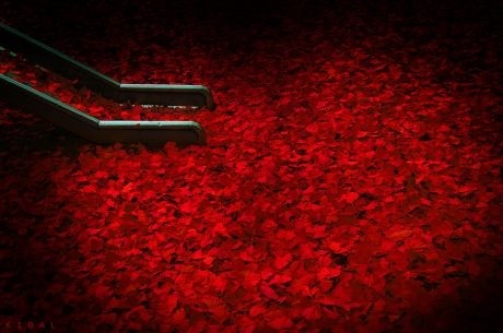 ↘ 그저 `고맙다,고맙다` 하신다.  