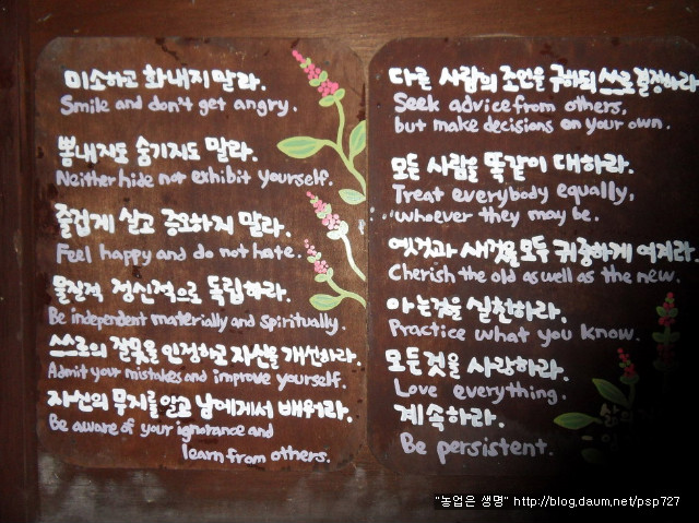 허브나라 자작나무집 이미지