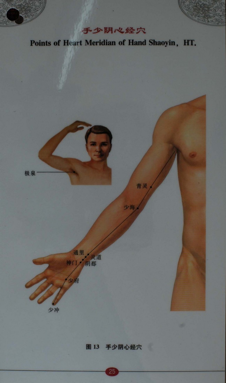  침구경혈자리