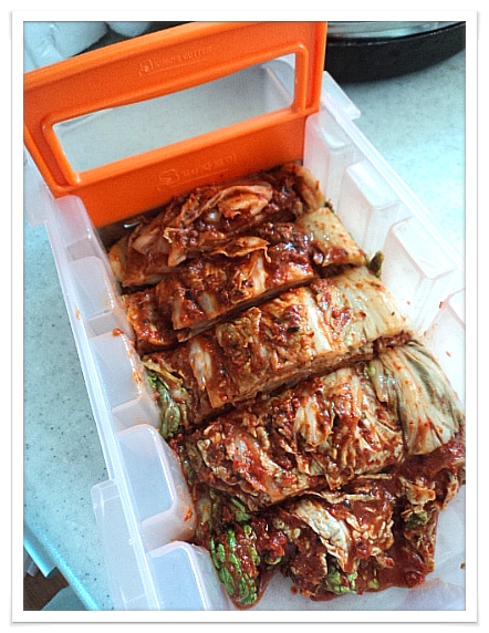 전라도 젓갈 이미지