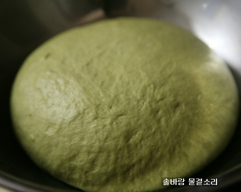 민들레생각 이미지