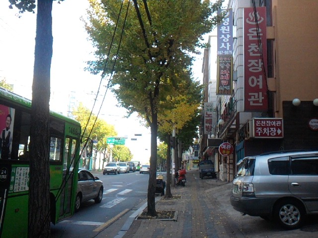 폰 사진