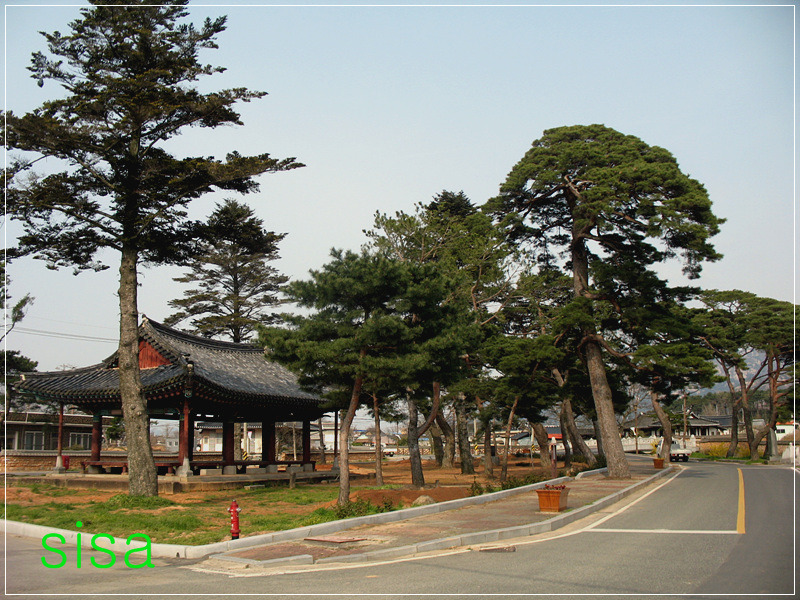 상대포와 구림 한옥마을을 찾아서...2010. 4월