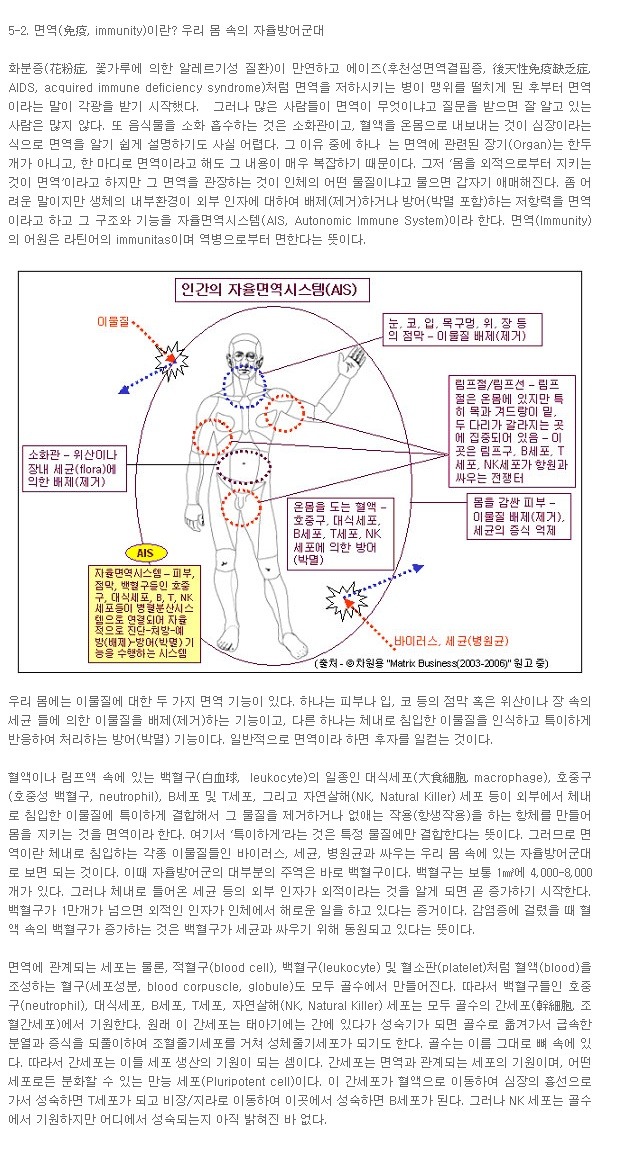 자율면역시스템
