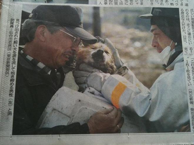 원본 크기로 보시려면 그림을 클릭하세요.