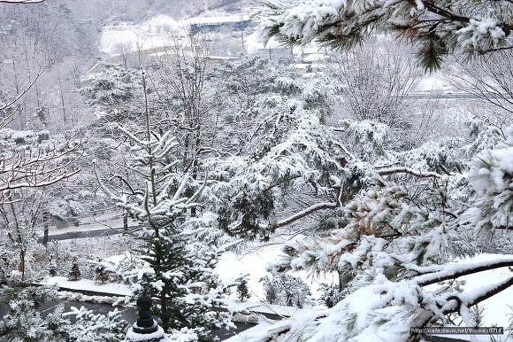 더블클릭을 하시면 이미지를 수정할 수 있습니다