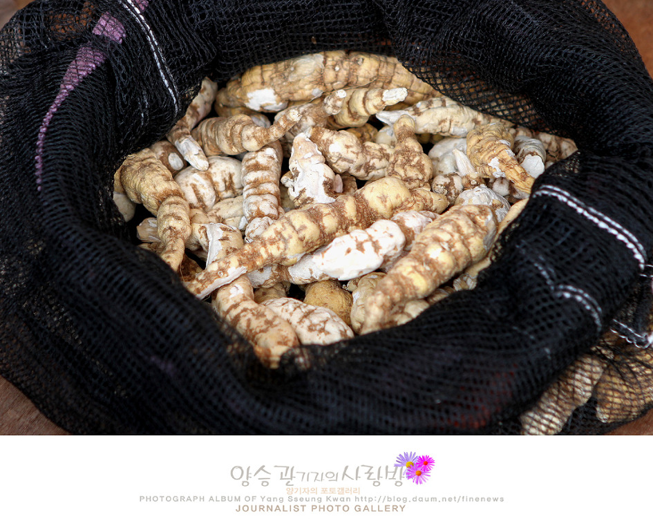 태백약초백숙 이미지