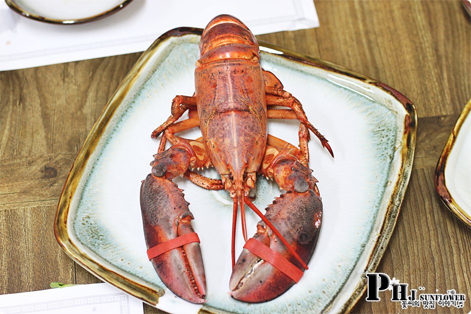 여의도맛집-랍스타에 자연산회에 코스요리가 5만원?가정의달 특집-명문수산