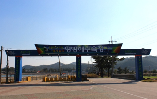 호산삼 이미지