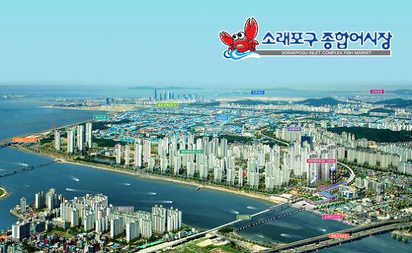신종합 이미지