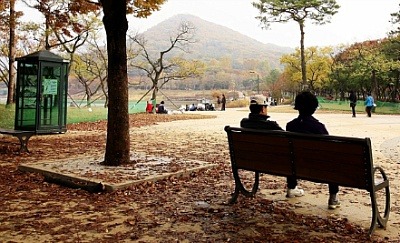 하인