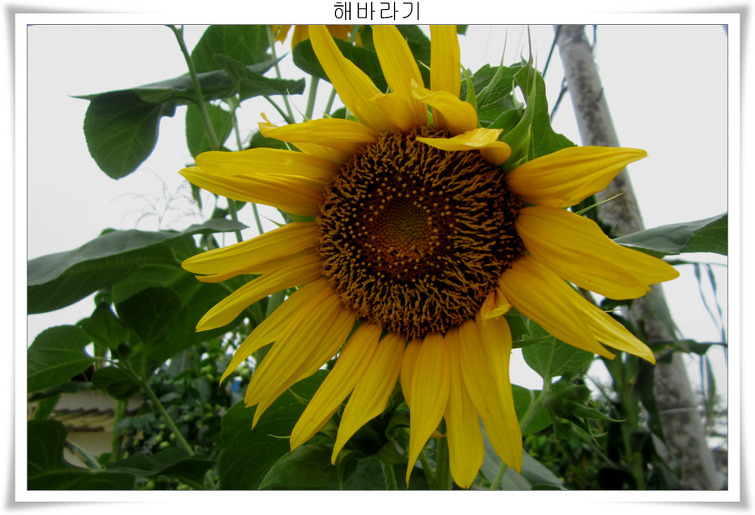 165C0D4B5039F00309C8F6