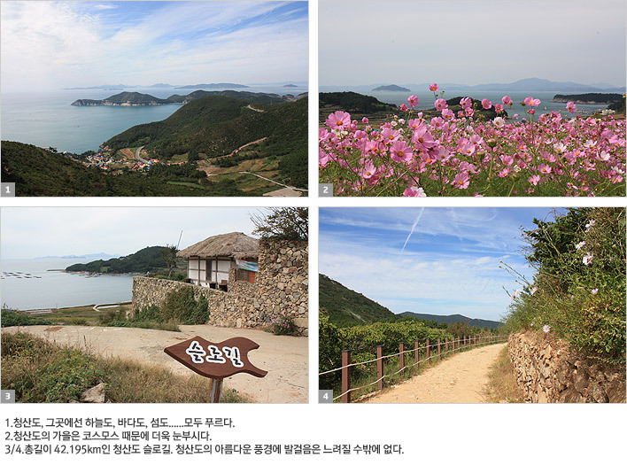 [김작가의 여행칼럼-4] 아이야~ 청산가자! <전남 청산도>