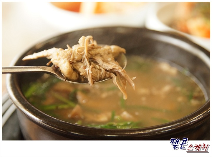 [대전맛집] 산삼 더하기 오리는 산삼오리뚝배기 / 대왕산삼농원(탄방점) 