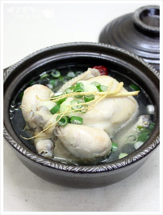 말복에 해먹은 여름 대표보양식.