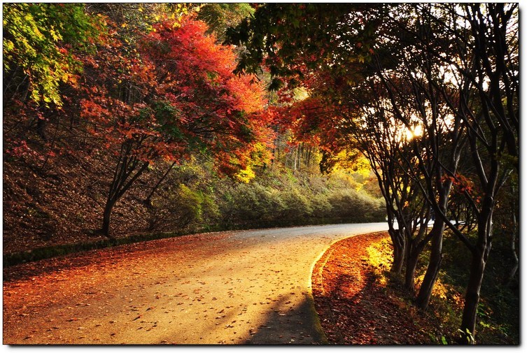  만추의 무등산 (11.1) 