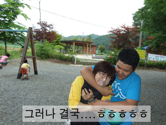 캠핑트리 이미지