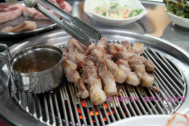참돈 이미지
