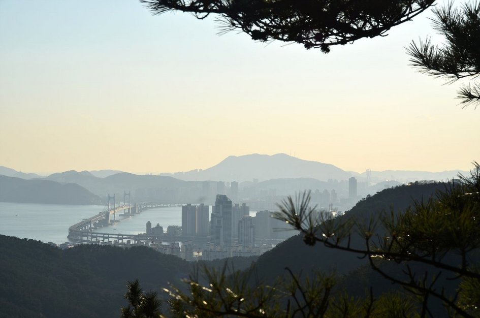 <465차>갈맷길12- 장산 너덜길