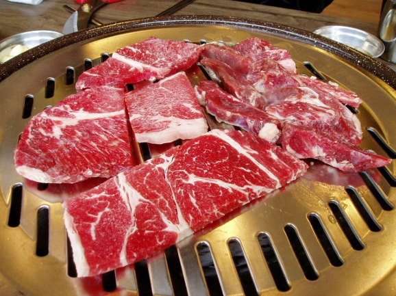 공룡고기 이미지