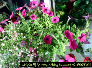 우리뷔페 이미지