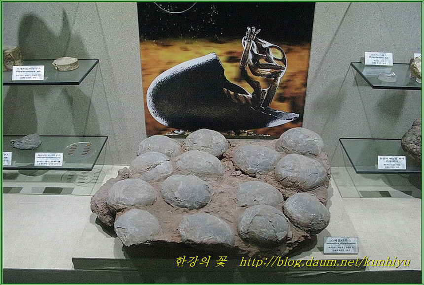 공룡알(화석)-한강의 꽃