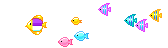 205316374FEC64780573F6