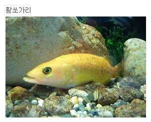 민물나라 이미지