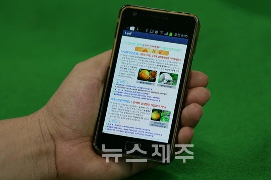 다운정보기술 이미지