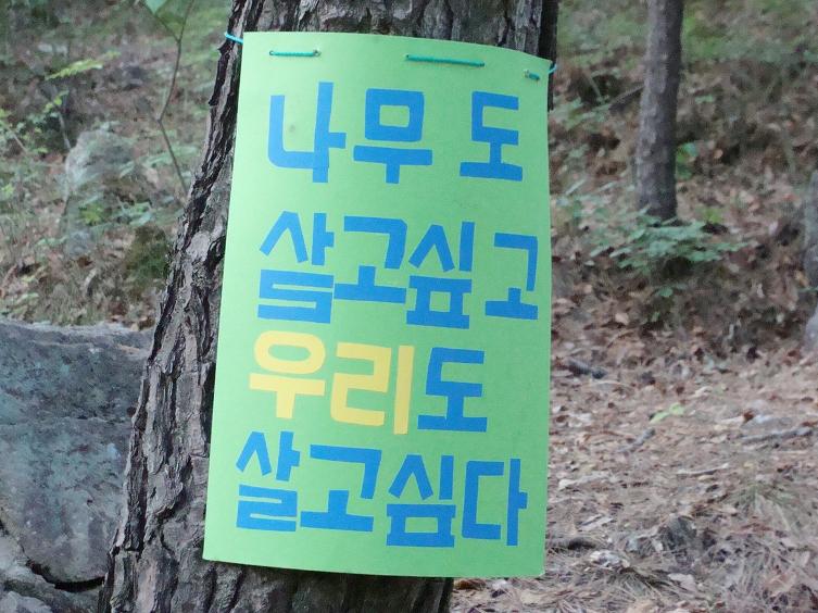 달비골 이미지
